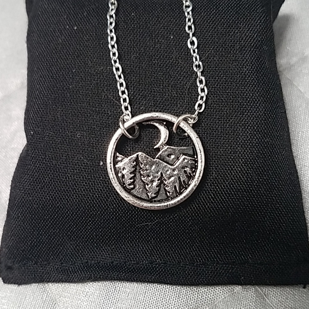 Silver tone necklace NWOT